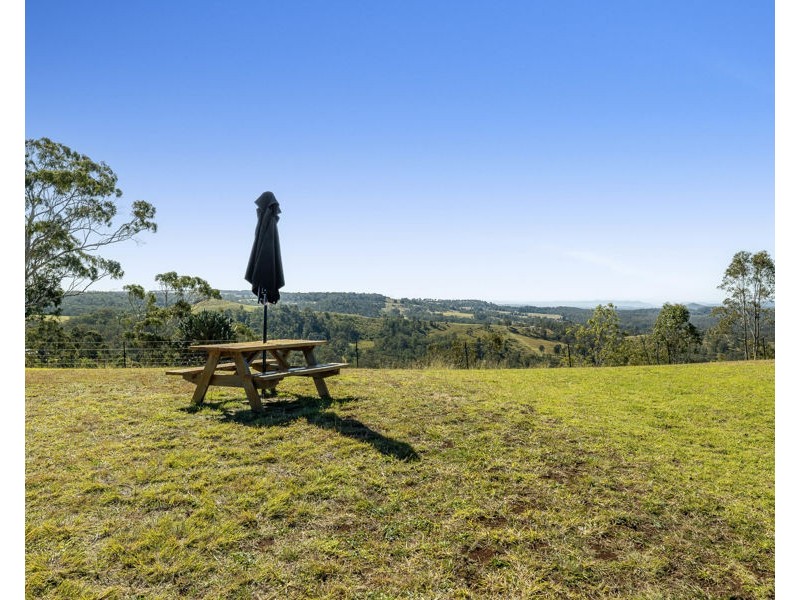 1 Hampton View Court, Hampton QLD 4352