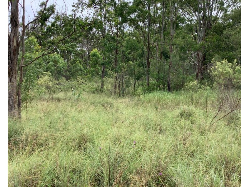 Lot 4 Pierces Creek Road, Mountain Camp QLD 4355