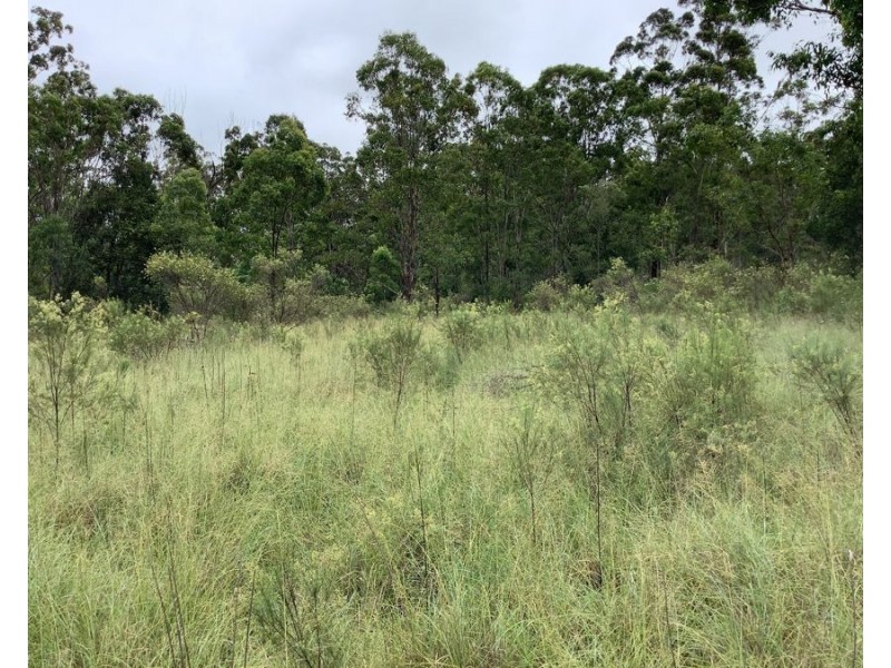 Lot 4 Pierces Creek Road, Mountain Camp QLD 4355
