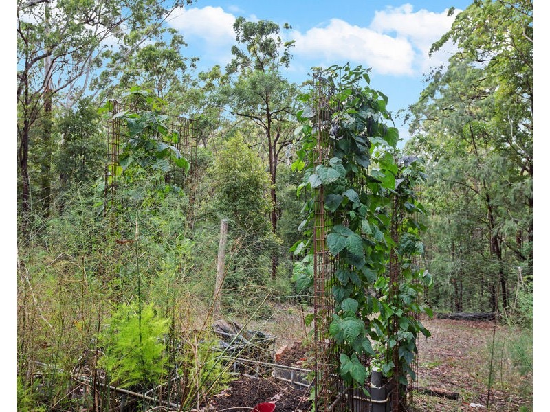 98 Whipbird Drive, Buaraba QLD 4311