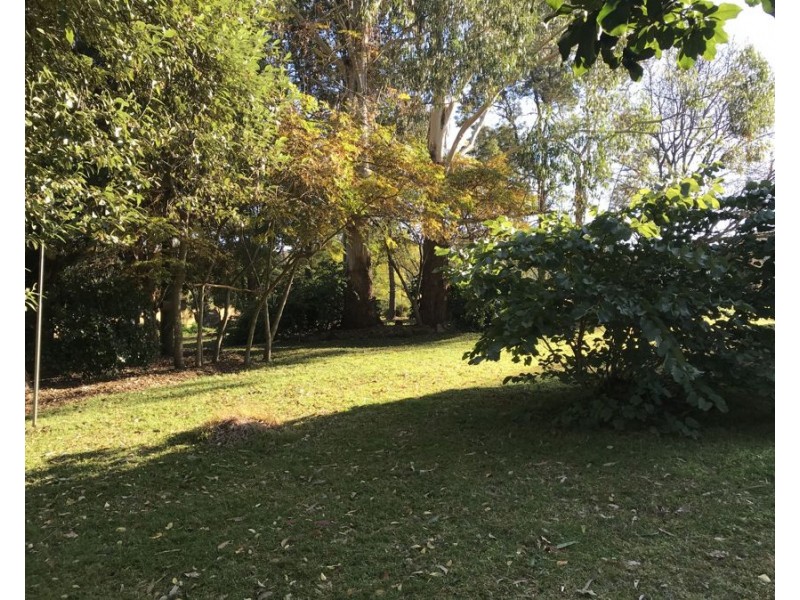121 Mount Luke Road, Mount Luke QLD 4352
