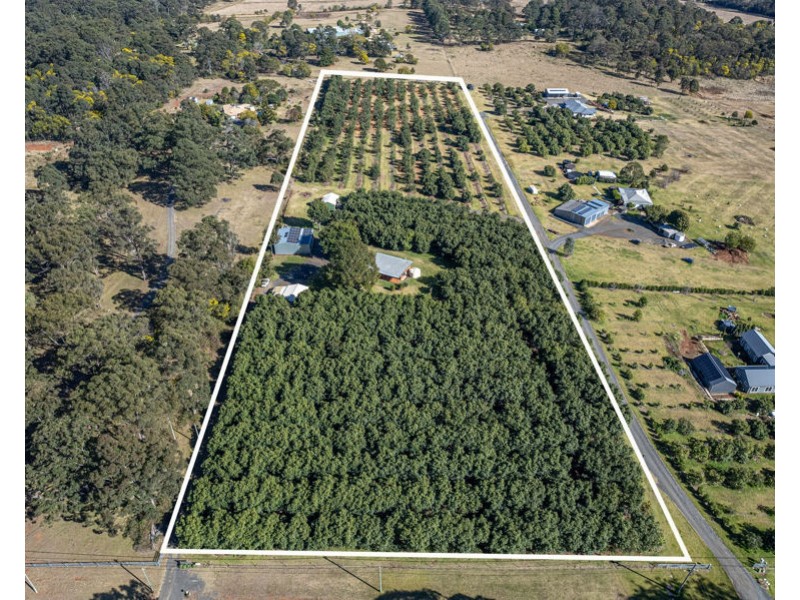 91 Brennan Road, Hampton QLD 4352