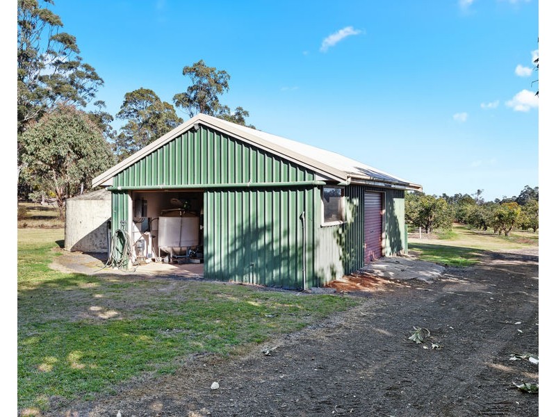 91 Brennan Road, Hampton QLD 4352