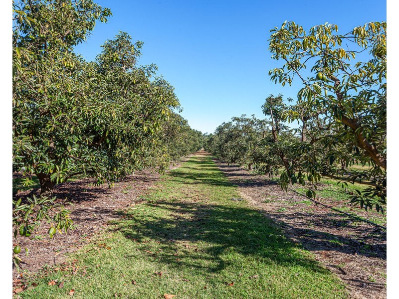 91 Brennan Road, Hampton QLD 4352