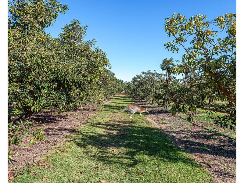 91 Brennan Road, Hampton QLD 4352