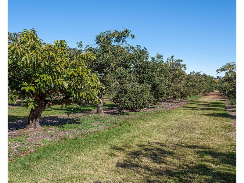 91 Brennan Road, Hampton QLD 4352