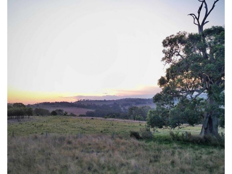 0 Pechey MacLagan Road, Whichello QLD 4352