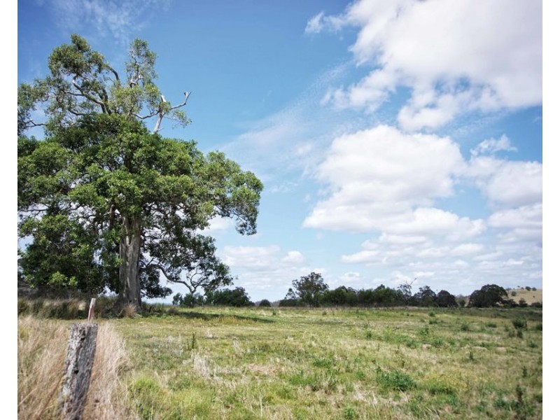 0 Pechey MacLagan Road, Whichello QLD 4352