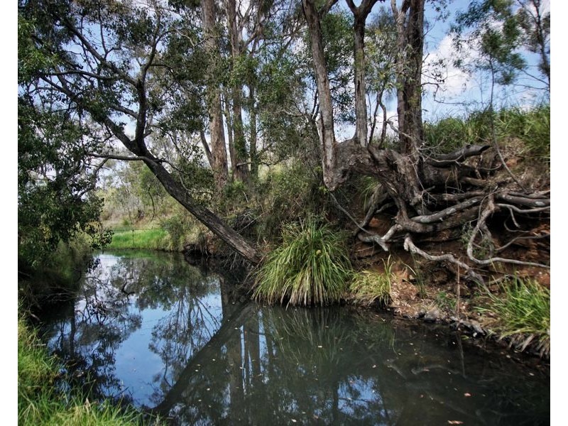 0 Pechey MacLagan Road, Whichello QLD 4352