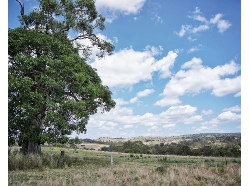 0 Pechey MacLagan Road, Whichello QLD 4352