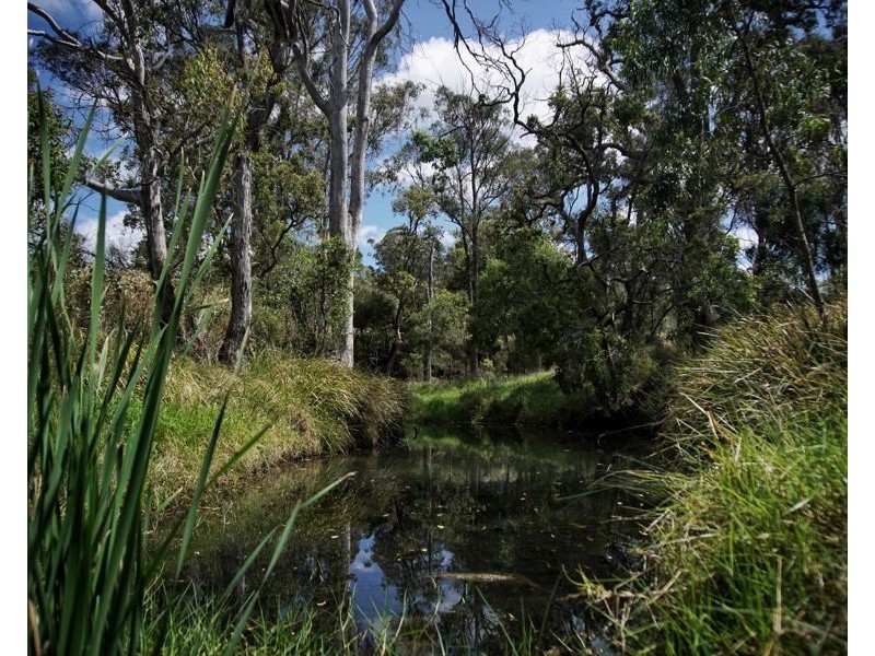 0 Pechey MacLagan Road, Whichello QLD 4352