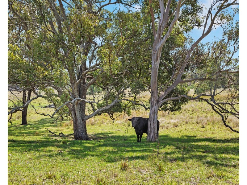 L123 New England Highway, Crows Nest QLD 4355