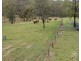 98 Munro Road, Palmtree QLD 4352