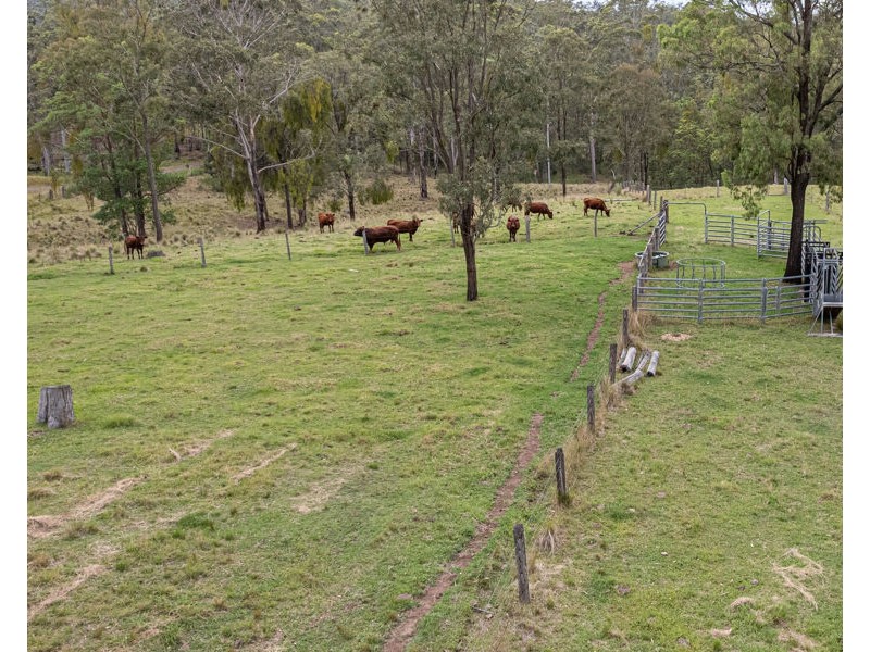 98 Munro Road, Palmtree QLD 4352