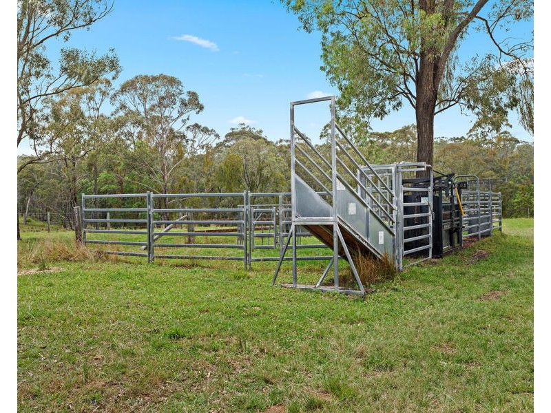 98 Munro Road, Palmtree QLD 4352