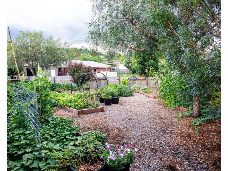 51 Phipps Drive, Meringandan West QLD 4352