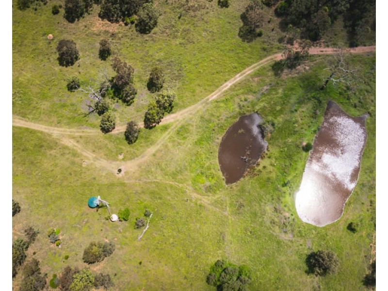 236 Plainby Douglas Road, Douglas QLD 4354