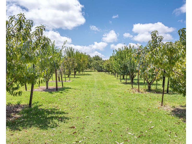 100 Brennan Road, Hampton QLD 4352