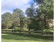 3890 Esk Hampton Road, Ravensbourne QLD 4352