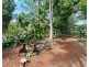 10 Hampton Road, Hampton QLD 4352