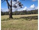 Lot 135 Wilkes Road, Hampton QLD 4352