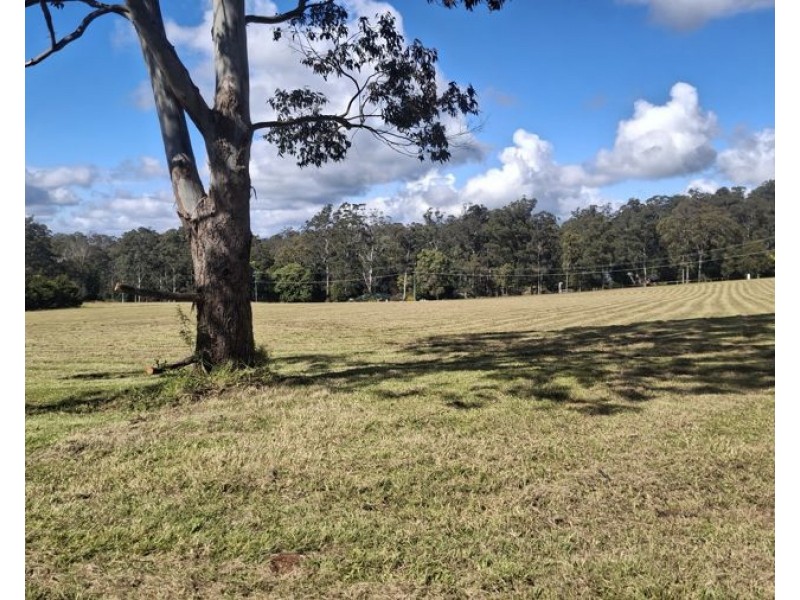 Lot 135 Wilkes Road, Hampton QLD 4352