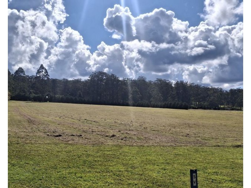 Lot 135 Wilkes Road, Hampton QLD 4352