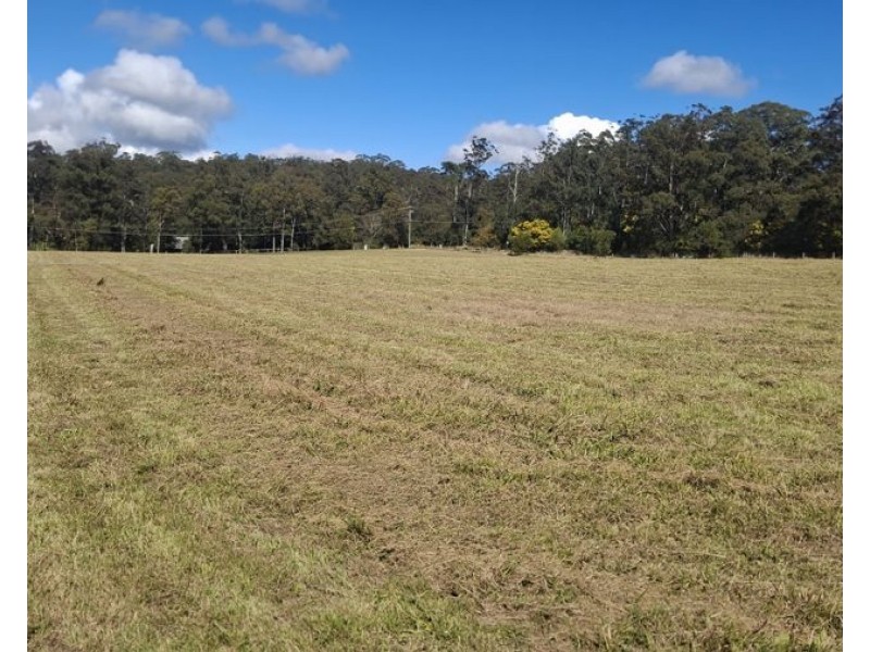 Lot 135 Wilkes Road, Hampton QLD 4352