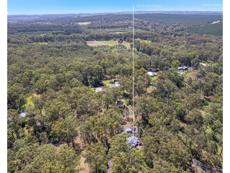 38 Forest Drive, Hampton QLD 4352
