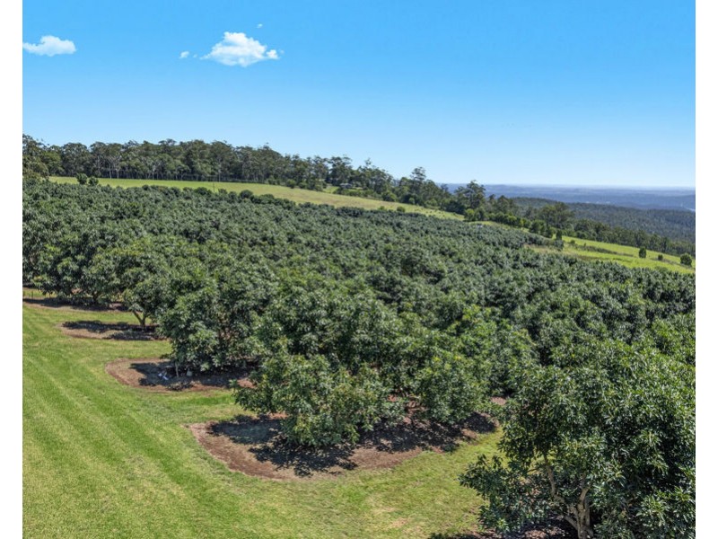 Lot 4 Horrex Road, Ravensbourne QLD 4352