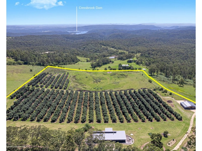 Lot 4 Horrex Road, Ravensbourne QLD 4352