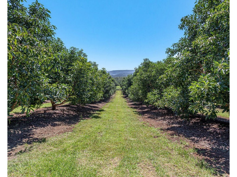 Lot 4 Horrex Road, Ravensbourne QLD 4352