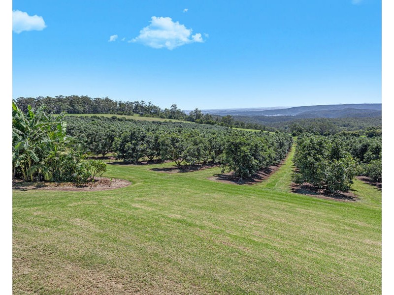 Lot 4 Horrex Road, Ravensbourne QLD 4352