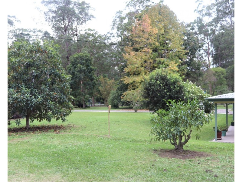 52 Bloodwood Crescent, Yarravel NSW 2440