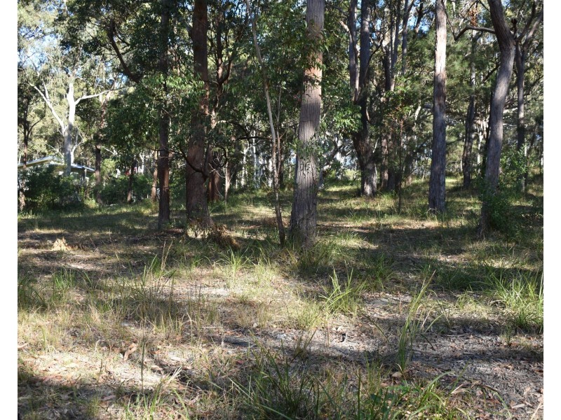 20 Wonga Place, Arakoon NSW 2431