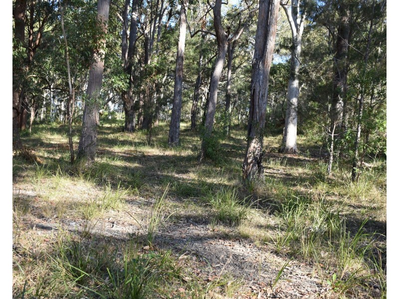 20 Wonga Place, Arakoon NSW 2431