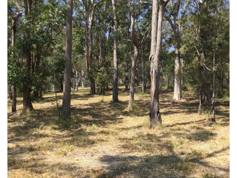 20 Wonga Place, Arakoon NSW 2431