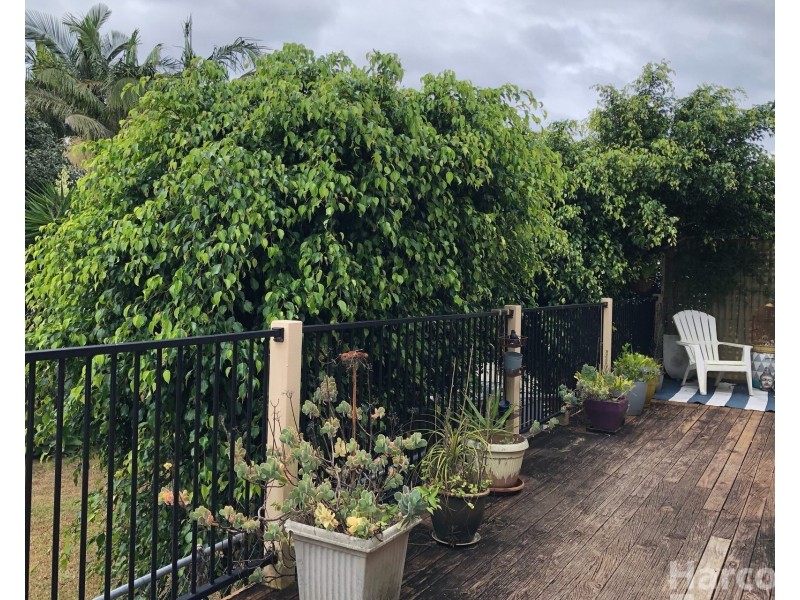 13 Peter Mark Circuit, South West Rocks NSW 2431