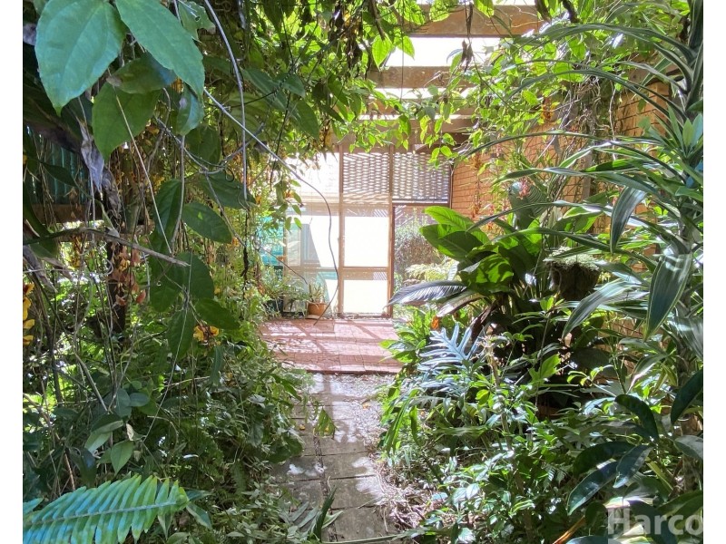 4/59 Mitchell Street, South West Rocks NSW 2431