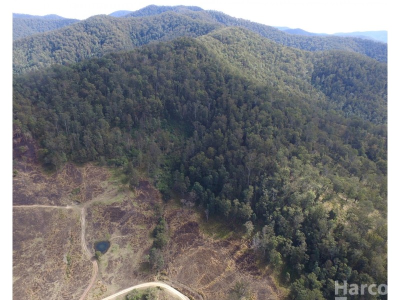 Lot 21 Five Day Creek Rd, Comara NSW 2440