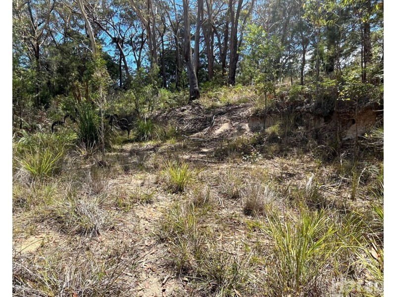 132 Tallowwood Place, South West Rocks NSW 2431