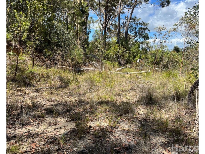 132 Tallowwood Place, South West Rocks NSW 2431