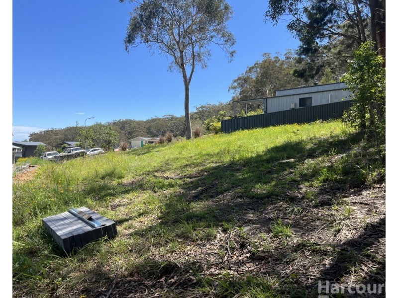 25 Racemosa Circuit, South West Rocks NSW 2431