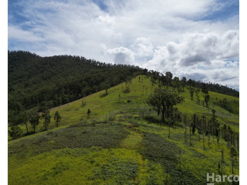 54 Mackenzies Creek Road, Bellbrook NSW 2440