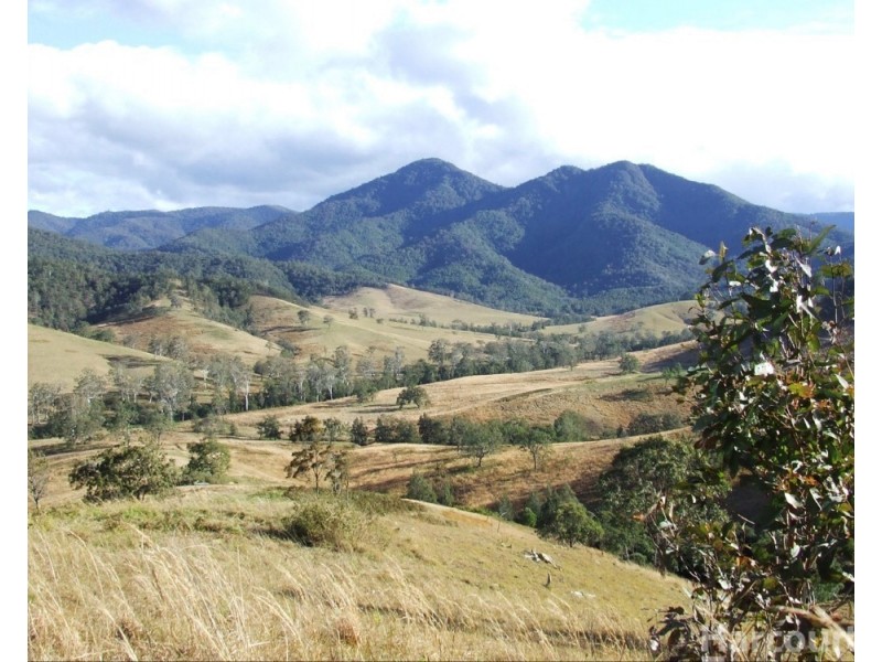 54 Mackenzies Creek Road, Bellbrook NSW 2440