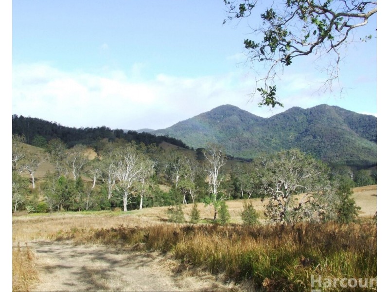 54 Mackenzies Creek Road, Bellbrook NSW 2440