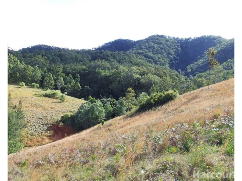 54 Mackenzies Creek Road, Bellbrook NSW 2440