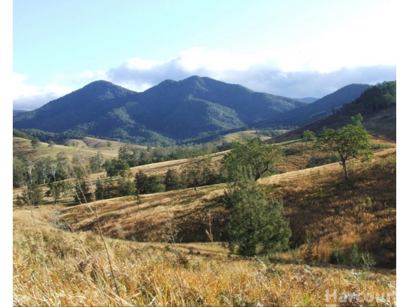 54 Mackenzies Creek Road, Bellbrook NSW 2440