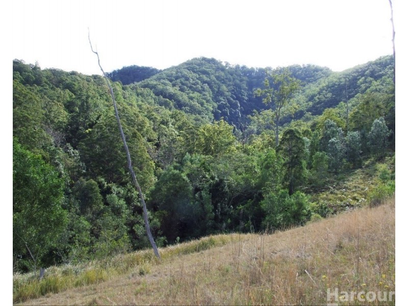 54 Mackenzies Creek Road, Bellbrook NSW 2440