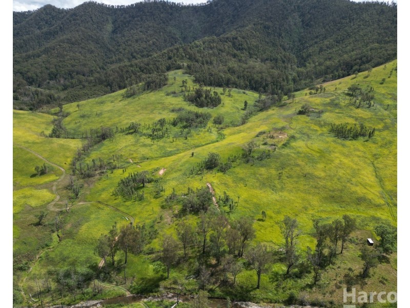 54 Mackenzies Creek Road, Bellbrook NSW 2440